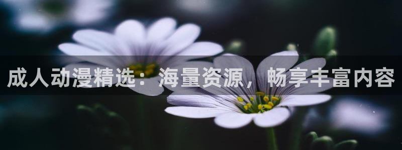 重生之道动漫动漫之家